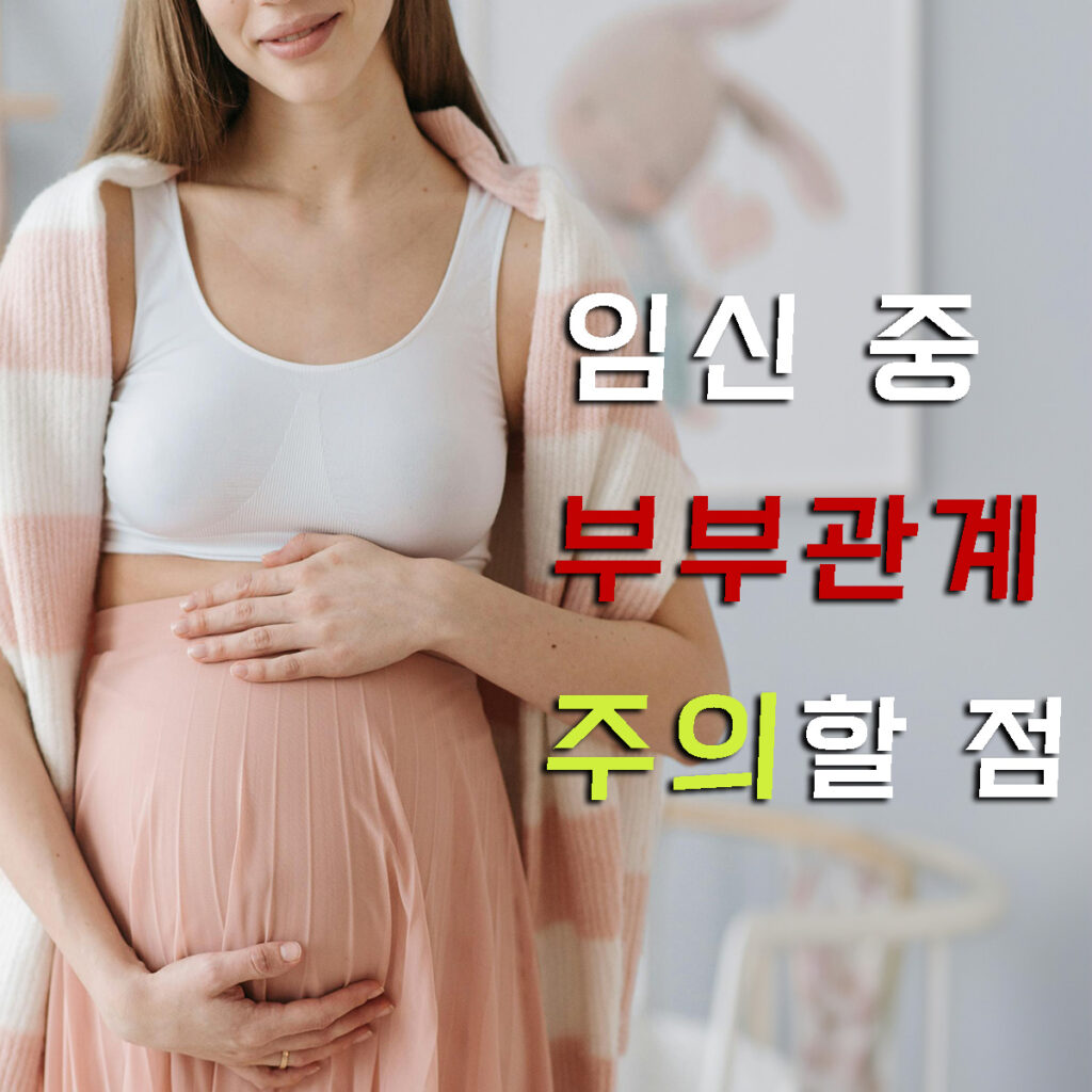 임신
부부관계
임신중부부관계

